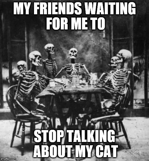 Skeletons  | MY FRIENDS WAITING FOR ME TO; STOP TALKING ABOUT MY CAT | image tagged in skeletons | made w/ Imgflip meme maker