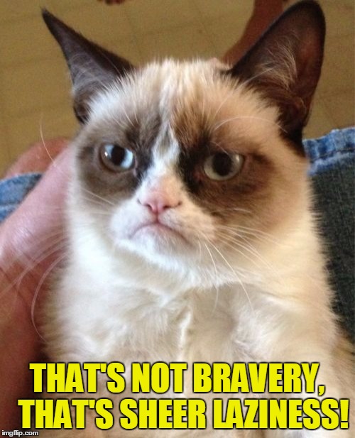 Grumpy Cat Meme | THAT'S NOT BRAVERY,  THAT'S SHEER LAZINESS! | image tagged in memes,grumpy cat | made w/ Imgflip meme maker