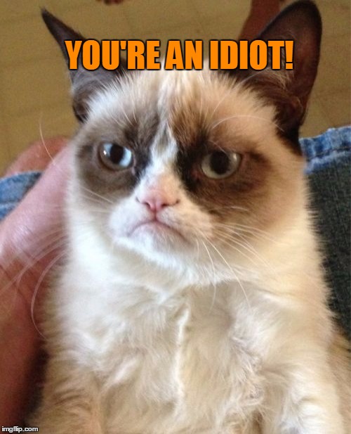 Grumpy Cat Meme | YOU'RE AN IDIOT! | image tagged in memes,grumpy cat | made w/ Imgflip meme maker
