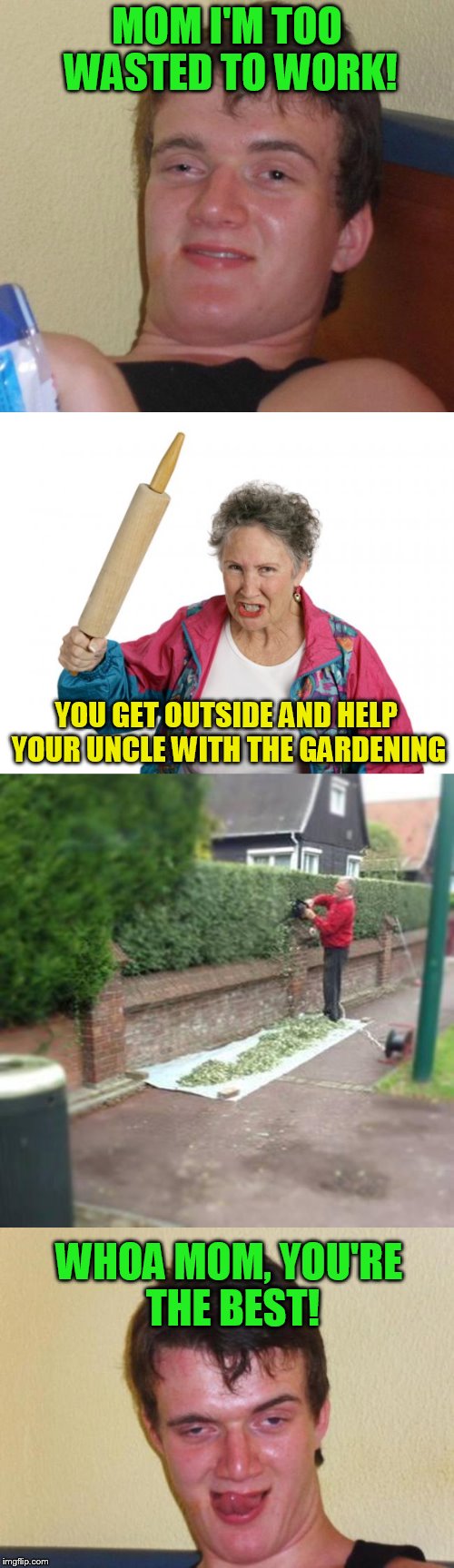 10 guy gets a job! | MOM I'M TOO WASTED TO WORK! YOU GET OUTSIDE AND HELP YOUR UNCLE WITH THE GARDENING; WHOA MOM, YOU'RE THE BEST! | image tagged in 10 guy,job,wasted,mom,funny meme,gardening | made w/ Imgflip meme maker
