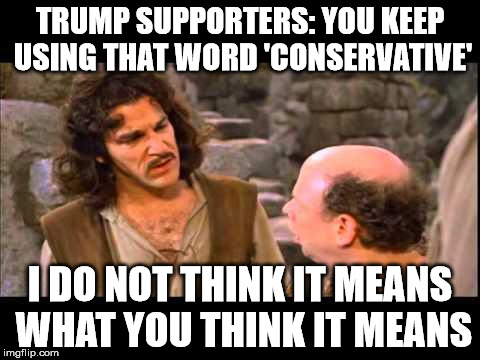 At best a neo-con, most likely another yuge RINO | TRUMP SUPPORTERS: YOU KEEP USING THAT WORD 'CONSERVATIVE'; I DO NOT THINK IT MEANS WHAT YOU THINK IT MEANS | image tagged in inigo montoya,trump 2016,donald trump,trump | made w/ Imgflip meme maker