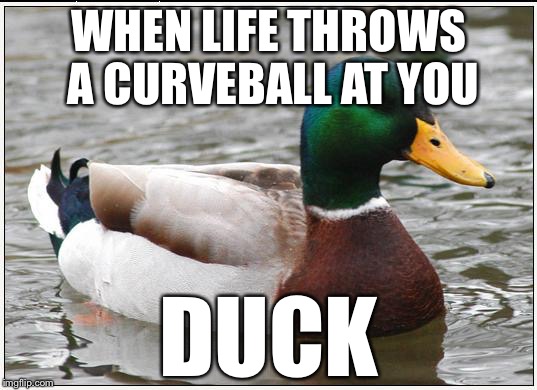 Actual Advice Mallard Meme | WHEN LIFE THROWS A CURVEBALL AT YOU; DUCK | image tagged in memes,actual advice mallard | made w/ Imgflip meme maker