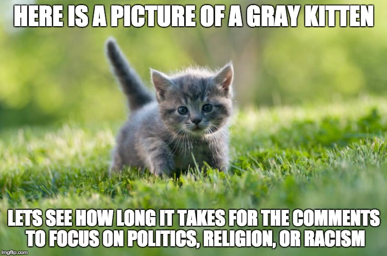 HERE IS A PICTURE OF A GRAY KITTEN; LETS SEE HOW LONG IT TAKES FOR THE COMMENTS TO FOCUS ON POLITICS, RELIGION, OR RACISM | image tagged in politics,religion,racism | made w/ Imgflip meme maker