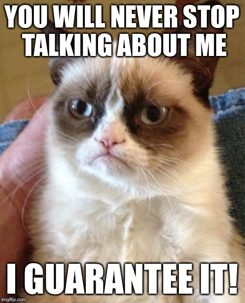 Grumpy Cat Meme | YOU WILL NEVER STOP TALKING ABOUT ME I GUARANTEE IT! | image tagged in memes,grumpy cat | made w/ Imgflip meme maker