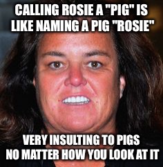 Rosie Pig | CALLING ROSIE A "PIG" IS LIKE NAMING A PIG "ROSIE"; VERY INSULTING TO PIGS NO MATTER HOW YOU LOOK AT IT | image tagged in rosie pig | made w/ Imgflip meme maker