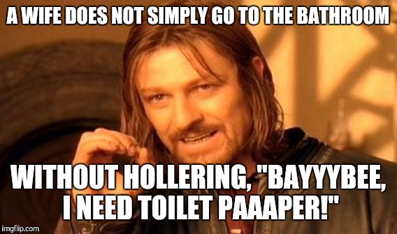 One Does Not Simply | A WIFE DOES NOT SIMPLY GO TO THE BATHROOM; WITHOUT HOLLERING, "BAYYYBEE, I NEED TOILET PAAAPER!" | image tagged in memes,one does not simply | made w/ Imgflip meme maker