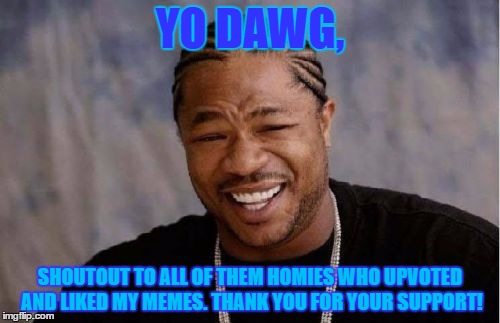 Yo Dawg Heard You | YO DAWG, SHOUTOUT TO ALL OF THEM HOMIES WHO UPVOTED AND LIKED MY MEMES. THANK YOU FOR YOUR SUPPORT! | image tagged in memes,yo dawg heard you | made w/ Imgflip meme maker