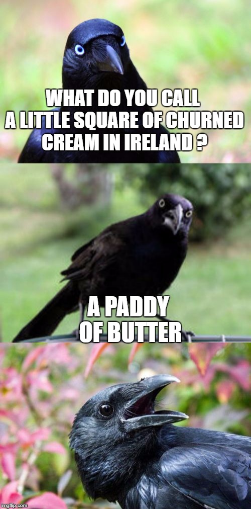 Irish Butter | WHAT DO YOU CALL A LITTLE SQUARE OF CHURNED CREAM IN IRELAND ? A PADDY OF BUTTER | image tagged in bad pun,memes,crow | made w/ Imgflip meme maker