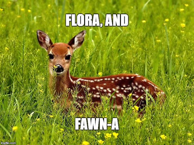 Baby deer | FLORA, AND; FAWN-A | image tagged in baby deer | made w/ Imgflip meme maker