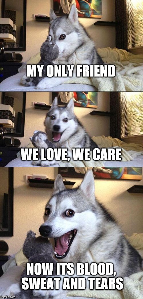 Bad Pun Dog Meme | MY ONLY FRIEND; WE LOVE, WE CARE; NOW ITS BLOOD, SWEAT AND TEARS | image tagged in memes,bad pun dog | made w/ Imgflip meme maker
