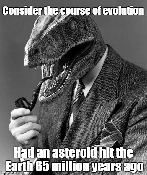 Evolution | Consider the course of evolution; Had an asteroid hit the Earth 65 million years ago | image tagged in evolution,memes | made w/ Imgflip meme maker