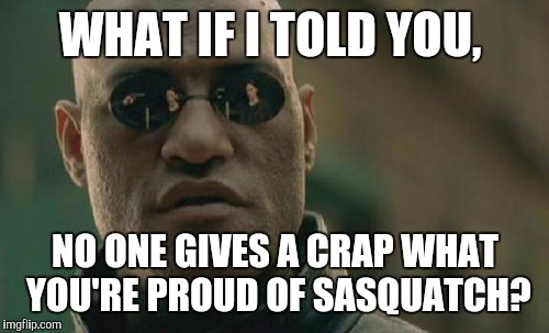 Matrix Morpheus Meme | WHAT IF I TOLD YOU, NO ONE GIVES A CRAP WHAT YOU'RE PROUD OF SASQUATCH? | image tagged in memes,matrix morpheus | made w/ Imgflip meme maker