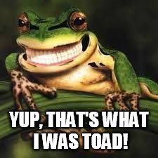 YUP, THAT'S WHAT I WAS TOAD! | made w/ Imgflip meme maker
