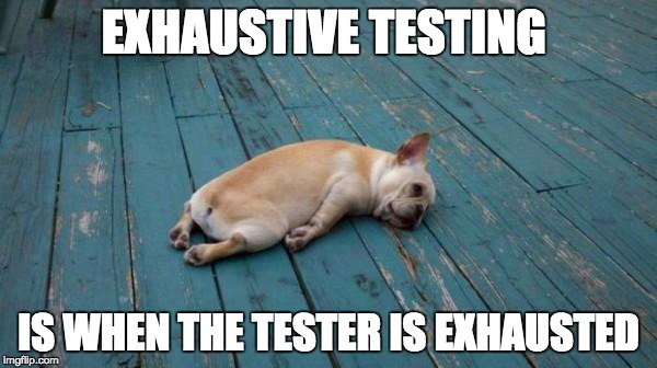 tired dog | EXHAUSTIVE TESTING; IS WHEN THE TESTER IS EXHAUSTED | image tagged in tired dog | made w/ Imgflip meme maker