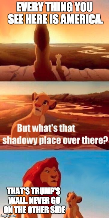 Simba Shadowy Place Meme | EVERY THING YOU SEE HERE IS AMERICA. THAT'S TRUMP'S WALL. NEVER GO ON THE OTHER SIDE | image tagged in memes,simba shadowy place | made w/ Imgflip meme maker