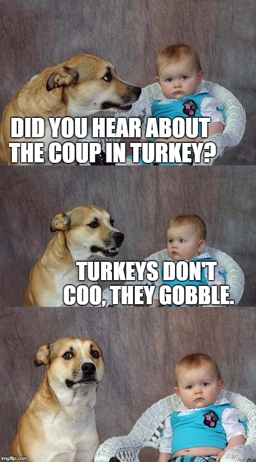 Dad Joke Dog Meme | DID YOU HEAR ABOUT THE COUP IN TURKEY? TURKEYS DON'T COO, THEY GOBBLE. | image tagged in memes,dad joke dog,Punny | made w/ Imgflip meme maker