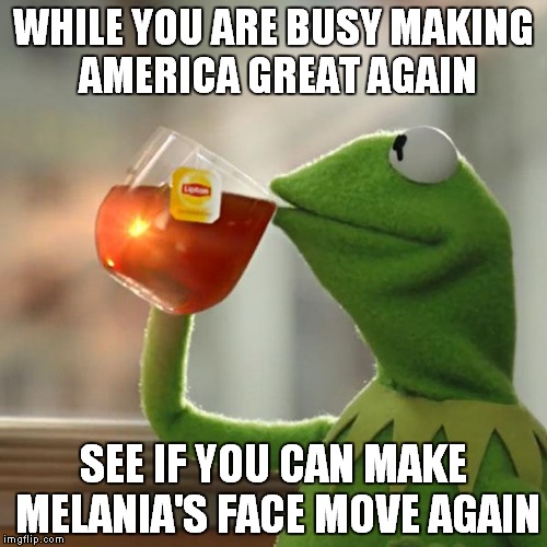 But That's None Of My Business Meme | WHILE YOU ARE BUSY MAKING AMERICA GREAT AGAIN; SEE IF YOU CAN MAKE MELANIA'S FACE MOVE AGAIN | image tagged in memes,but thats none of my business,kermit the frog | made w/ Imgflip meme maker