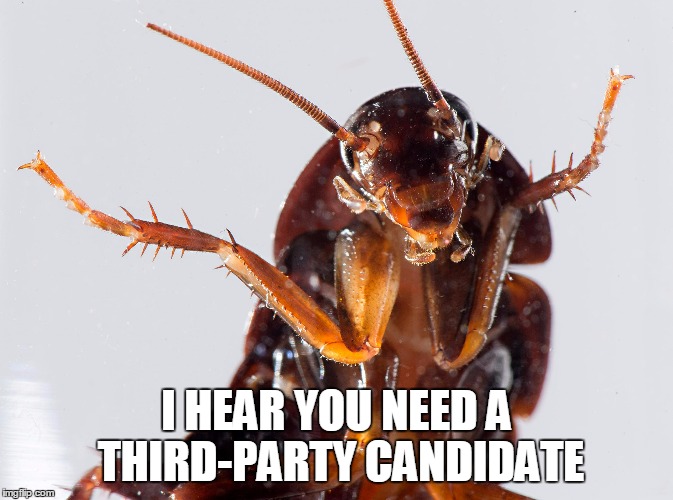 I HEAR YOU NEED A THIRD-PARTY CANDIDATE | made w/ Imgflip meme maker