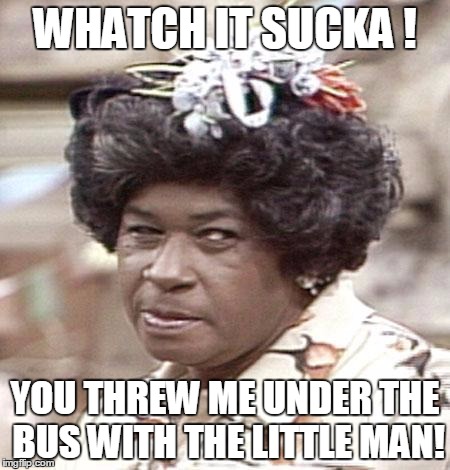 Ester Anderson from Sanford and Son | WHATCH IT SUCKA ! YOU THREW ME UNDER THE BUS WITH THE LITTLE MAN! | image tagged in ester anderson from sanford and son | made w/ Imgflip meme maker