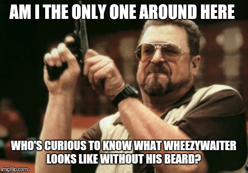 For as long as WheezyWaiter has been on YouTube, has there ever been a video of his where he's clean-shaven? | AM I THE ONLY ONE AROUND HERE; WHO'S CURIOUS TO KNOW WHAT WHEEZYWAITER LOOKS LIKE WITHOUT HIS BEARD? | image tagged in memes,am i the only one around here,wheezywaiter,craig benzine,youtube,beard | made w/ Imgflip meme maker