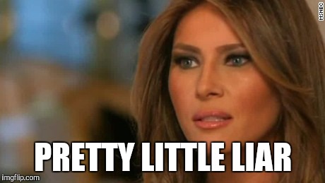 How can we trust HER? | PRETTY LITTLE LIAR | image tagged in melania trump | made w/ Imgflip meme maker