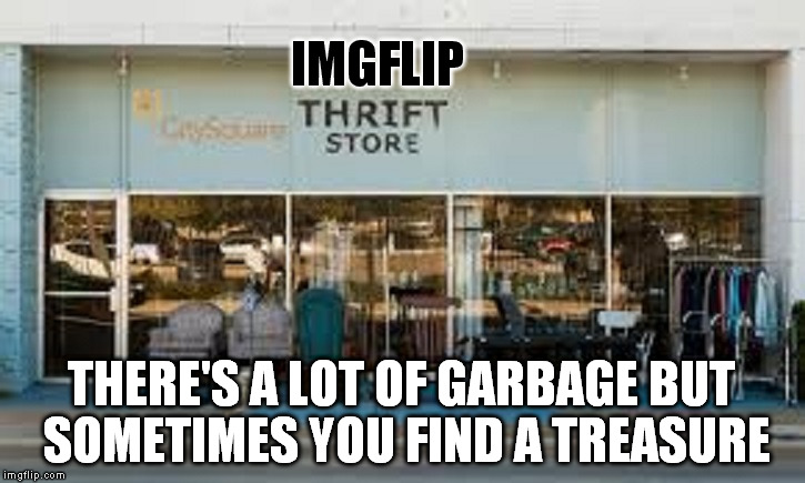 Thrifting on imgflip | IMGFLIP; THERE'S A LOT OF GARBAGE BUT SOMETIMES YOU FIND A TREASURE | image tagged in imgflip,thrift store | made w/ Imgflip meme maker