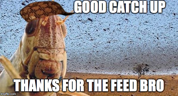 GOOD CATCH UP; THANKS FOR THE FEED BRO | image tagged in scumbag,feed me | made w/ Imgflip meme maker
