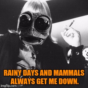 RAINY DAYS AND MAMMALS ALWAYS GET ME DOWN. | made w/ Imgflip meme maker