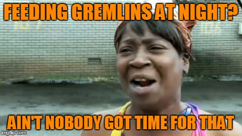 Ain't Nobody Got Time For That Meme | FEEDING GREMLINS AT NIGHT? AIN'T NOBODY GOT TIME FOR THAT | image tagged in memes,aint nobody got time for that | made w/ Imgflip meme maker
