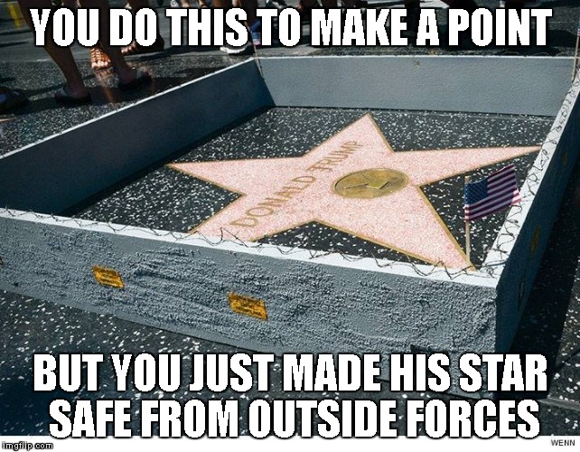 Safe Star | YOU DO THIS TO MAKE A POINT; BUT YOU JUST MADE HIS STAR SAFE FROM OUTSIDE FORCES | image tagged in donald trump,trump 2016 | made w/ Imgflip meme maker