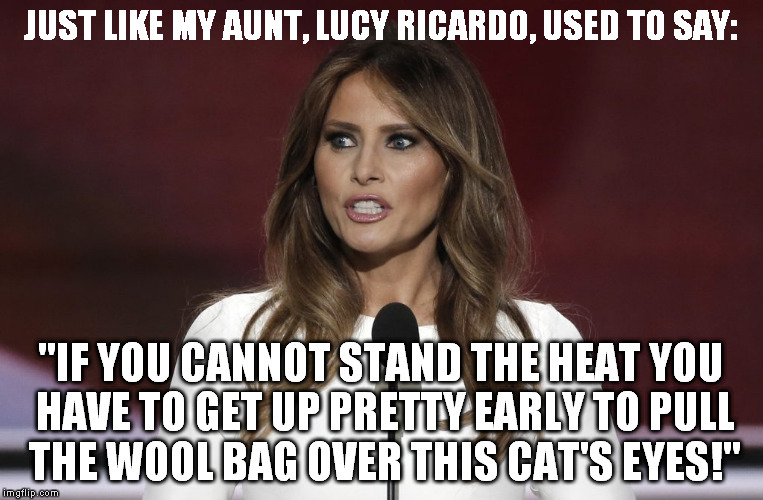 Melania Trump is a moron. | JUST LIKE MY AUNT, LUCY RICARDO, USED TO SAY:; "IF YOU CANNOT STAND THE HEAT YOU HAVE TO GET UP PRETTY EARLY TO PULL THE WOOL BAG OVER THIS CAT'S EYES!" | image tagged in melania trump meme,i love lucy,donald trump | made w/ Imgflip meme maker