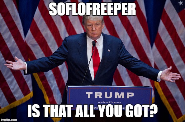 Donald Trump | SOFLOFREEPER; IS THAT ALL YOU GOT? | image tagged in donald trump | made w/ Imgflip meme maker
