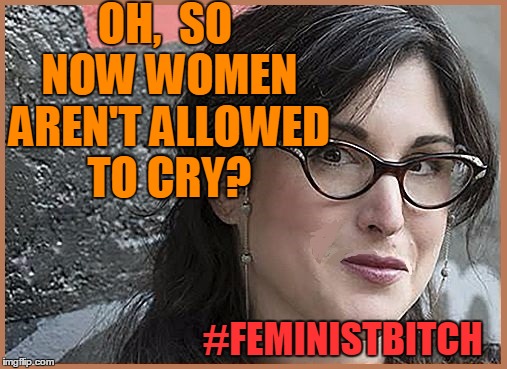 feminist Zeisler | OH,  SO NOW WOMEN AREN'T ALLOWED TO CRY? #FEMINISTB**CH | image tagged in feminist zeisler | made w/ Imgflip meme maker