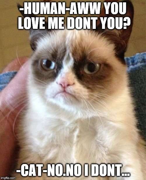 Grumpy Cat | -HUMAN-AWW YOU LOVE ME DONT YOU? -CAT-NO.NO I DONT... | image tagged in memes,grumpy cat | made w/ Imgflip meme maker