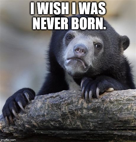 Confession Bear | I WISH I WAS NEVER BORN. | image tagged in memes,confession bear | made w/ Imgflip meme maker