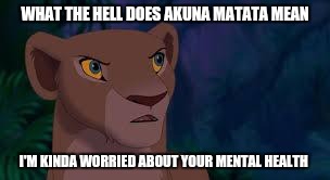 nala | WHAT THE HELL DOES AKUNA MATATA MEAN; I'M KINDA WORRIED ABOUT YOUR MENTAL HEALTH | image tagged in nala | made w/ Imgflip meme maker