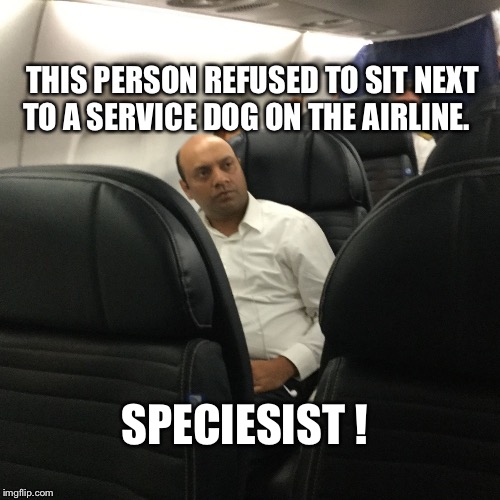 THIS PERSON REFUSED TO SIT NEXT TO A SERVICE DOG ON THE AIRLINE. SPECIESIST ! | image tagged in dog hater,foreigner,immigrant | made w/ Imgflip meme maker