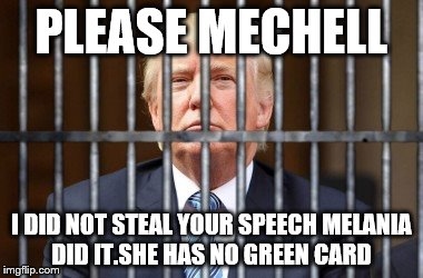 PLEASE MECHELL; I DID NOT STEAL YOUR SPEECH
MELANIA DID IT.SHE HAS NO GREEN CARD | image tagged in stewpid1 | made w/ Imgflip meme maker