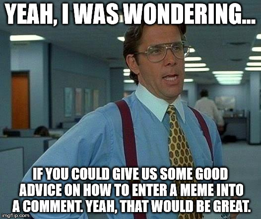 Yeah, that'd be great... | YEAH, I WAS WONDERING... IF YOU COULD GIVE US SOME GOOD ADVICE ON HOW TO ENTER A MEME INTO A COMMENT. YEAH, THAT WOULD BE GREAT. | image tagged in memes,that would be great,meme comments,comments,comment | made w/ Imgflip meme maker
