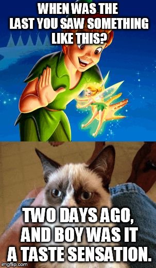 Grumpy Cat Does Not Believe |  WHEN WAS THE LAST YOU SAW SOMETHING LIKE THIS? TWO DAYS AGO, AND BOY WAS IT A TASTE SENSATION. | image tagged in memes,grumpy cat does not believe | made w/ Imgflip meme maker