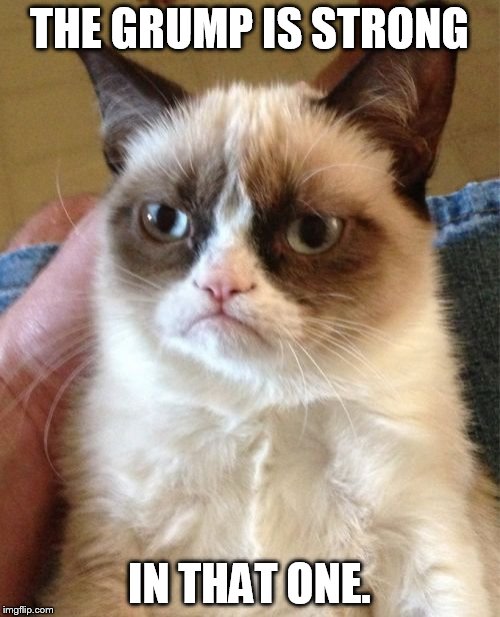 Grumpy Cat Meme | THE GRUMP IS STRONG IN THAT ONE. | image tagged in memes,grumpy cat | made w/ Imgflip meme maker