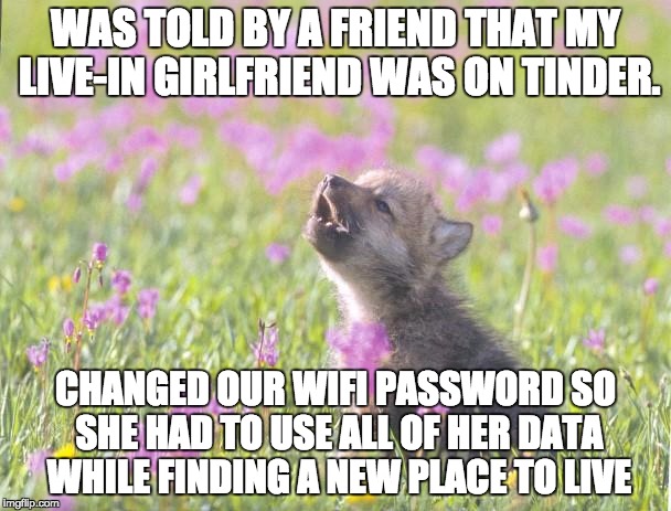 Baby Insanity Wolf Meme | WAS TOLD BY A FRIEND THAT MY LIVE-IN GIRLFRIEND WAS ON TINDER. CHANGED OUR WIFI PASSWORD SO SHE HAD TO USE ALL OF HER DATA WHILE FINDING A NEW PLACE TO LIVE | image tagged in memes,baby insanity wolf,AdviceAnimals | made w/ Imgflip meme maker