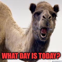 WHAT DAY IS TODAY? | made w/ Imgflip meme maker