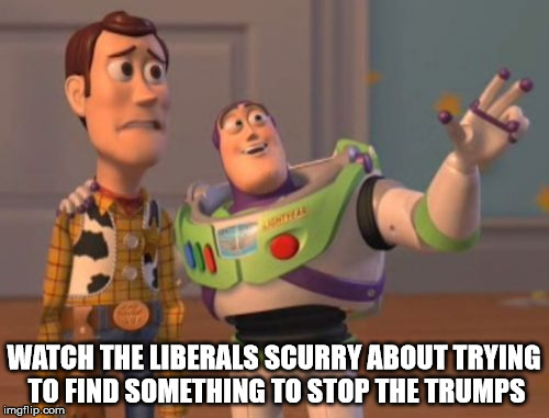 Can't stop Trumps! | WATCH THE LIBERALS SCURRY ABOUT TRYING TO FIND SOMETHING TO STOP THE TRUMPS | image tagged in memes,liberals,trump 2016,liars,x x everywhere | made w/ Imgflip meme maker