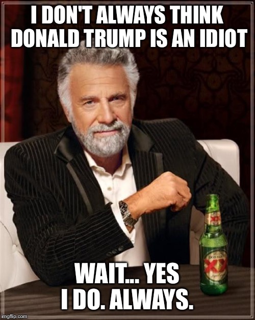 The Most Interesting Man In The World | I DON'T ALWAYS THINK DONALD TRUMP IS AN IDIOT; WAIT... YES I DO. ALWAYS. | image tagged in memes,the most interesting man in the world | made w/ Imgflip meme maker