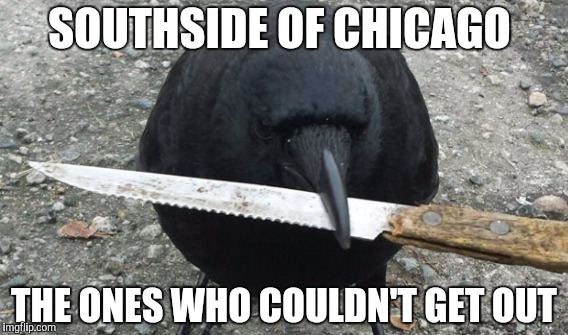 WHEN FLYING OVER CHICAGO... | SOUTHSIDE OF CHICAGO; THE ONES WHO COULDN'T GET OUT | image tagged in memes,gifs,funny,black lives matter,political meme,hillary clinton | made w/ Imgflip meme maker