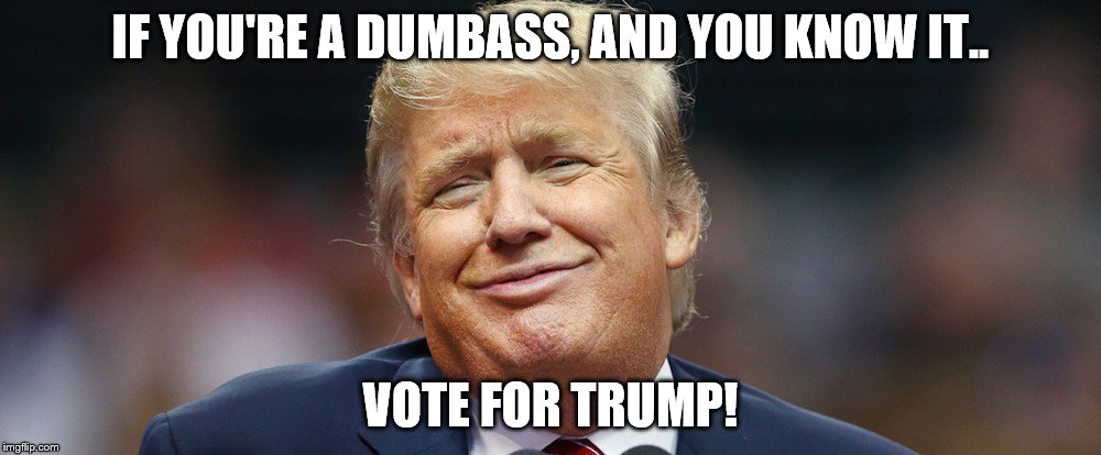 dumbass trump | IF YOU'RE A DUMBASS, AND YOU KNOW IT.. VOTE FOR TRUMP! | image tagged in donald trump | made w/ Imgflip meme maker