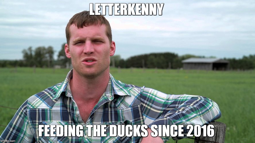 Letterkenny - Feeding the ducks  | LETTERKENNY; FEEDING THE DUCKS SINCE 2016 | image tagged in letterkenny,duck,ducks,comedy,farmer,farm | made w/ Imgflip meme maker