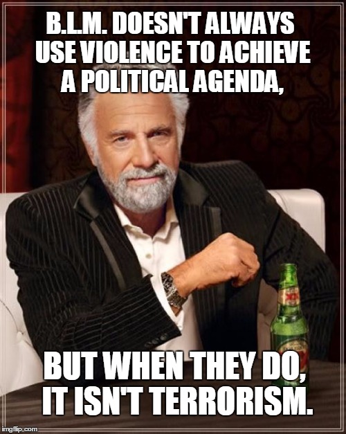 The Most Interesting Man In The World | B.L.M. DOESN'T ALWAYS USE VIOLENCE TO ACHIEVE A POLITICAL AGENDA, BUT WHEN THEY DO, IT ISN'T TERRORISM. | image tagged in memes,the most interesting man in the world | made w/ Imgflip meme maker