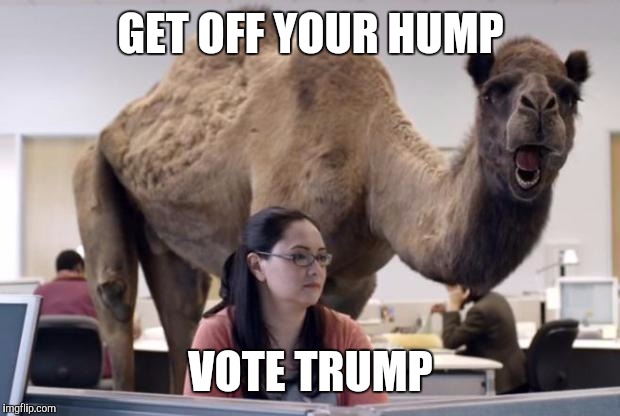 GET OFF YOUR HUMP VOTE TRUMP | image tagged in hump day camel | made w/ Imgflip meme maker
